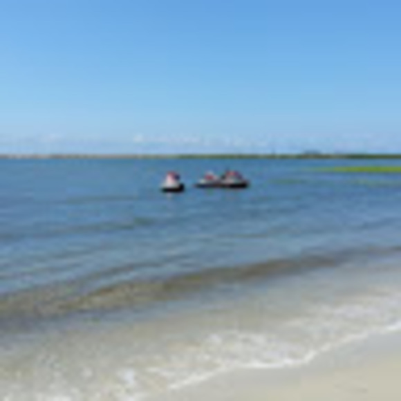 Meet your Posher, Penny - Picture 1 of 1